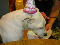 DSCN3251.webp