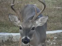 good pics 007.webp