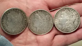 Morgans.webp