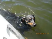 river trip 006.webp