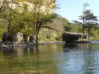 good pics 003.webp