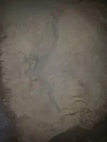 10721270_298875130301939_1941056722_n.webp