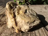 rock.webp