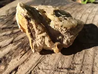 rock1.webp
