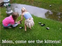 skunkkittys.webp skunkkittys.webp