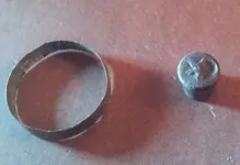 ring and shell.webp