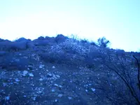 P8190320.webp