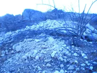 P9110751.webp