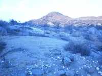 P9110767.webp
