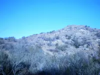 P9241001.webp