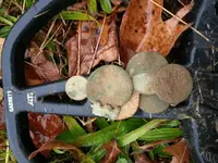 ForumRunner_20141206_163554.webp