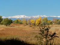 open space 2.webp