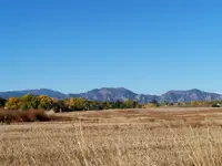open space 3.webp
