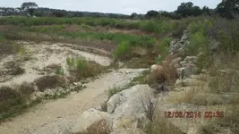snake n stuff 003.webp