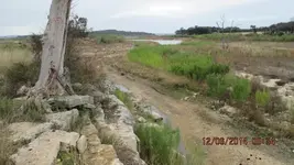 snake n stuff 002.webp