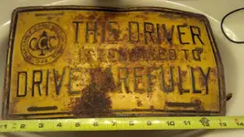 Plate_1.webp