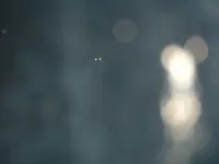 DSCF0001.webp