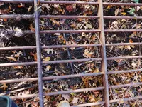 K1600_001.webp