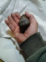 2014-12-15 11.12.50.webp