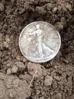 IMG_1025.webp IMG_1025.webp