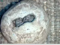 cw1.webp cw1.webp