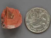 Agate-PinkChip-October2014-Img_5682SSS.webp
