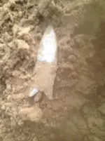 ImageUploadedByTreasureNet.com1418667983.462907.webp