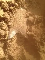 ImageUploadedByTreasureNet.com1418668051.700119.webp