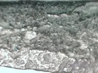 Picture 005.webp