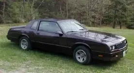 87 monte ss.webp