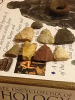 image-3011701554.webp