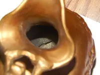 DSCN8067.webp