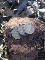 coin spill.webp