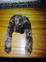 ImageUploadedByTreasureNet.com1418684160.751064.webp