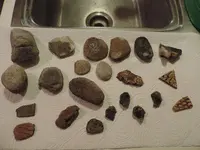 DSCN0006.webp