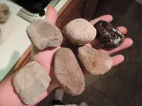 DSCN0009.webp