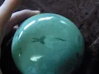 DSCN8115.webp