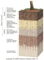 ideal_soil_horizons_zpsf727e352.webp ideal_soil_horizons_zpsf727e352.webp