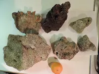 DSCN0011.webp