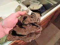 DSCN0012.webp
