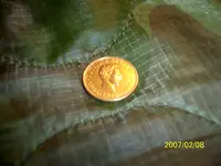 100_0254.webp