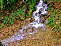 DSCN6570.webp