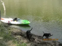 river 031.webp