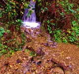 DSCN6579.webp