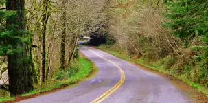 DSCN6567.webp