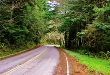DSCN6582.webp
