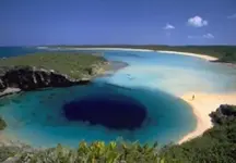 ImageUploadedByTreasureNet.com1434916225.298537.webp