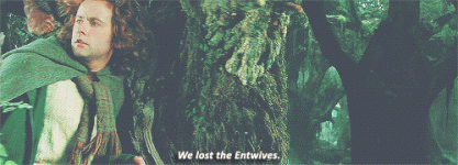 13NSLnHCAsirIY.gif 13NSLnHCAsirIY.gif