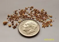 Gold 1grm 12-21-2014 (3).webp