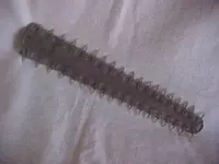 792837137_o.webp